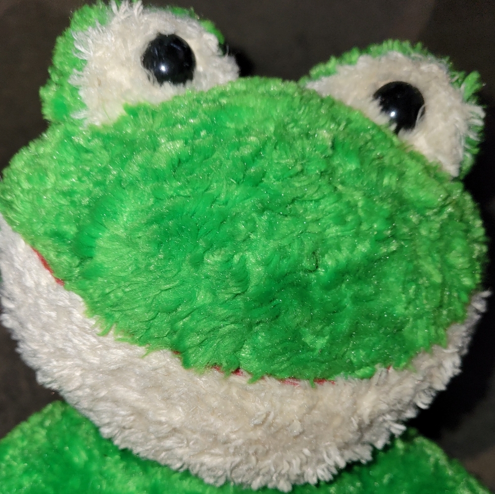 BUILD-A-BEAR Frog - Picture 4 of 4